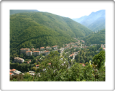 DSC06900