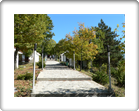Кръстова гора